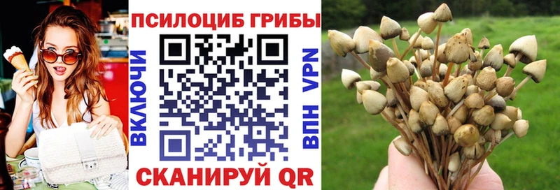 Галлюциногенные грибы Magic Shrooms  Динская 